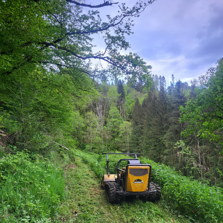 Mähraupe bei der Landschaftspflege im Schwarzwald
