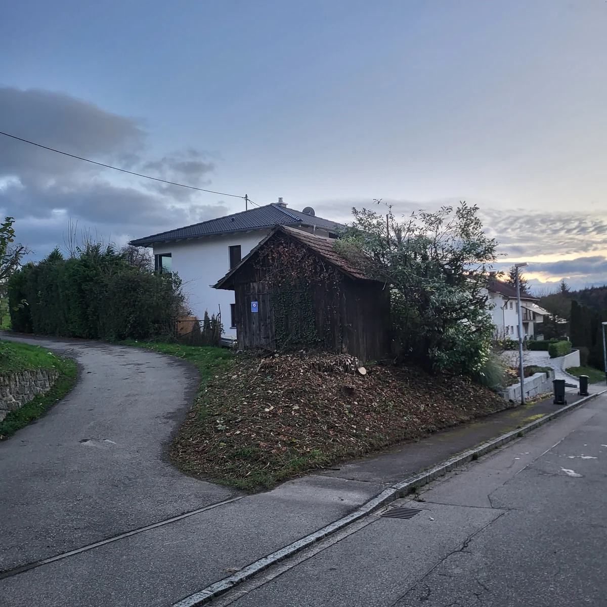 Freigestellter Straßenrand nach der Entfernung des dichten Bewuchses
